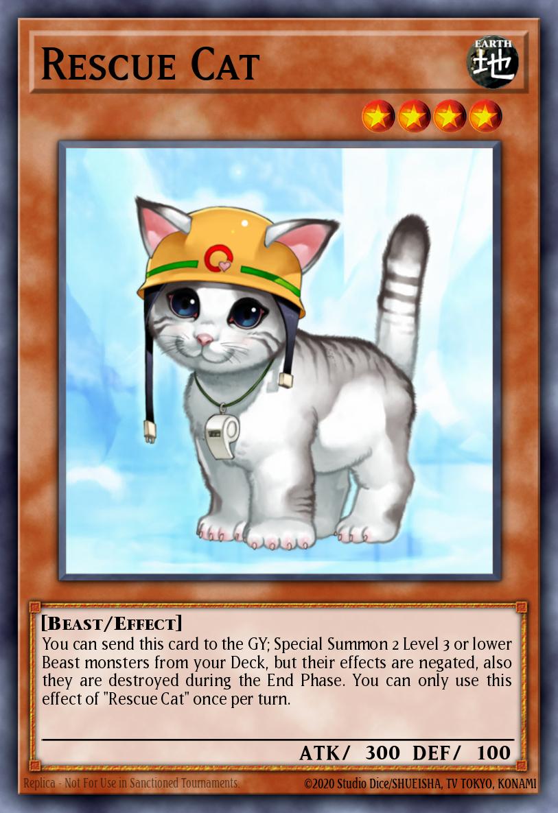Rescue Cat DUSA-EN072 Duelist Saga